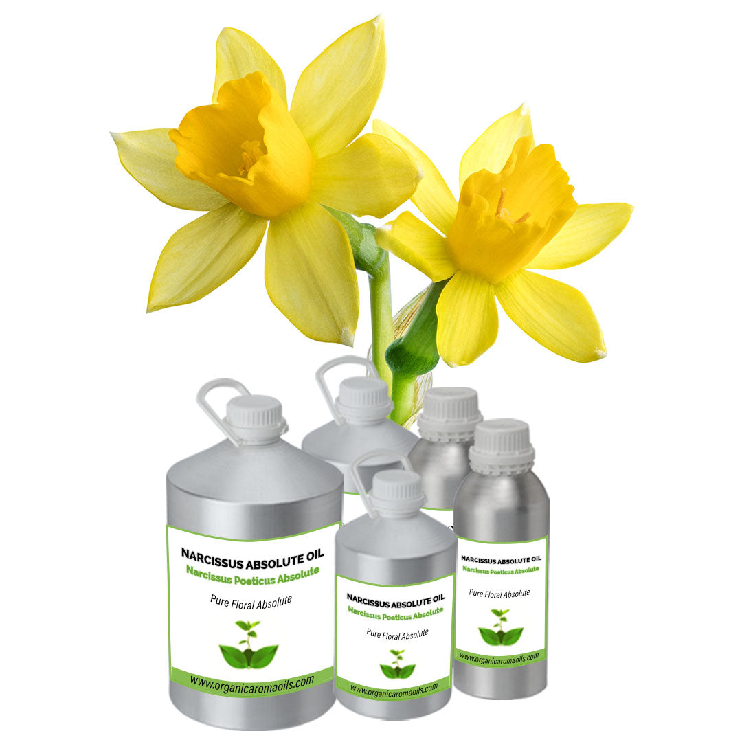 100% Narcissus saving Absolute Oil