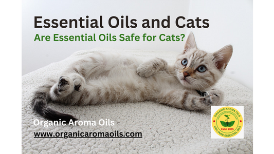 Essential Oils and Cats: Are They Harmful for Cats?