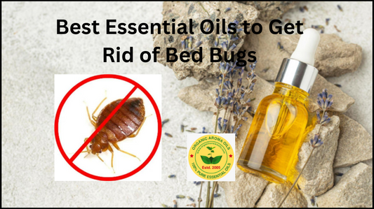 Do Essential Oils Repel or Kill Bedbugs?