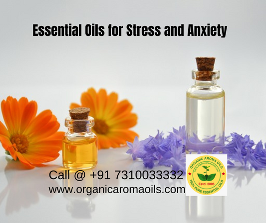 10 Best Essential Oils for Stress & Anxiety