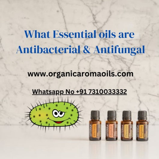 What Essential oils are Antibacterial & Antifungal?