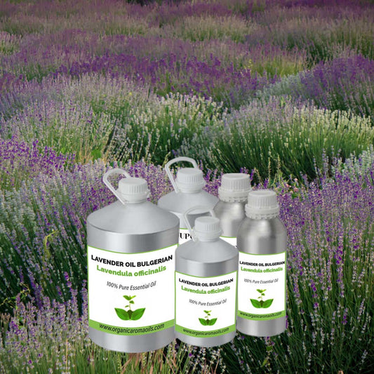 Lavender Oil Bulgarian