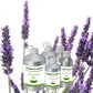 Lavender Oil France