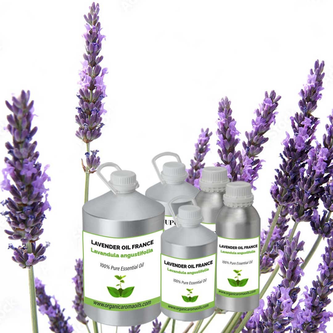 Lavender Oil France