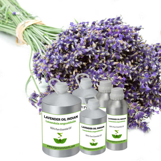 Lavender Oil Indian