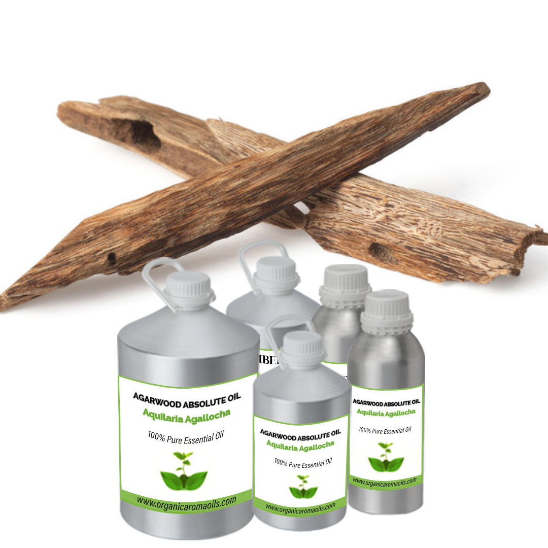 Agarwood Absolute Oil