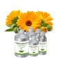 Calendula Absolute Oil