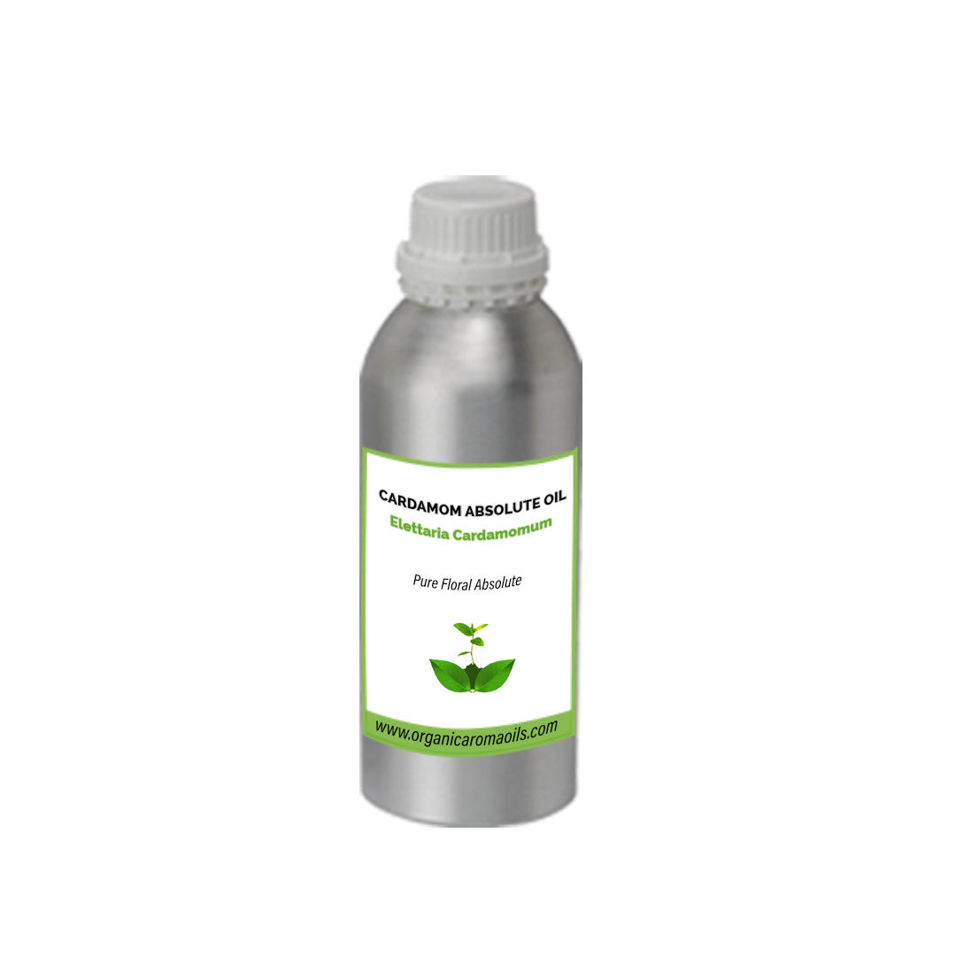 Cardamom Absolute Oil