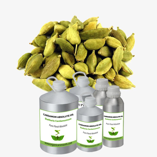 Cardamom Absolute Oil