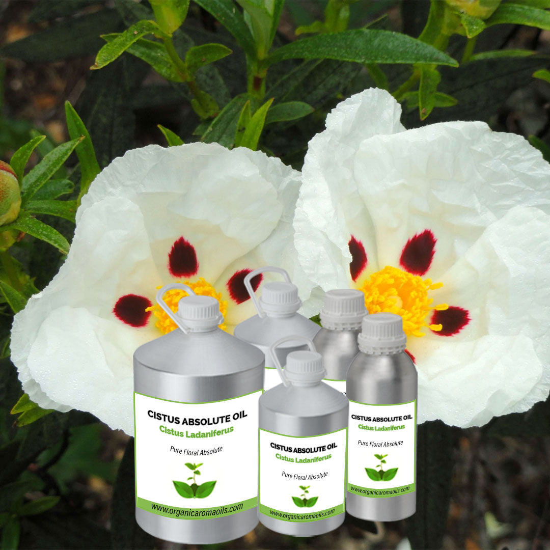 Cistus Absolute Oil