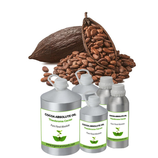 Cocoa Absolute Oil