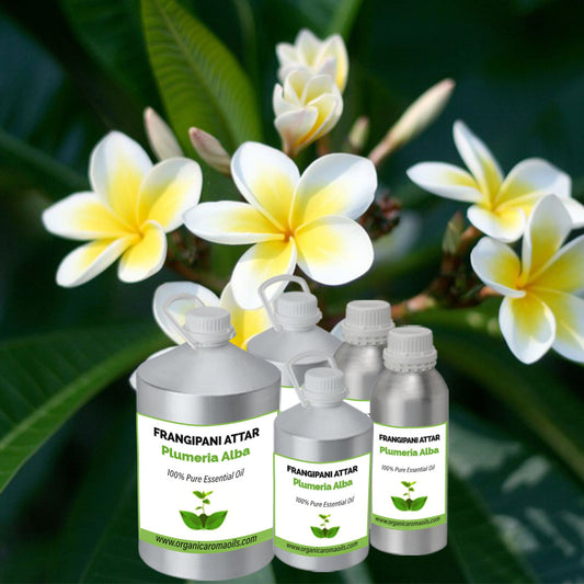 Frangipani Attar