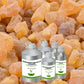 Frankincense Absolute Oil (Olibanum)