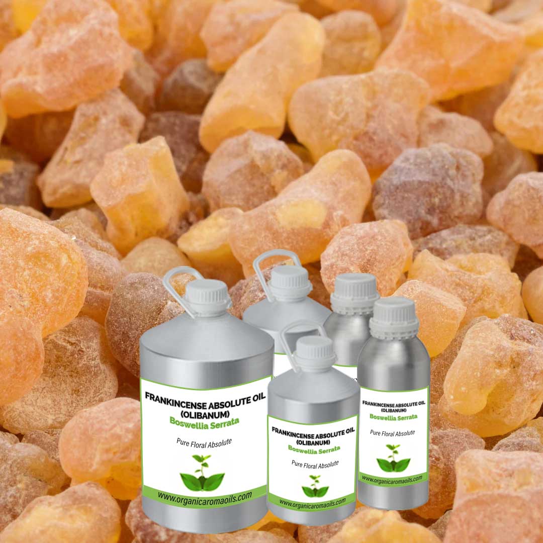 Frankincense Absolute Oil (Olibanum)