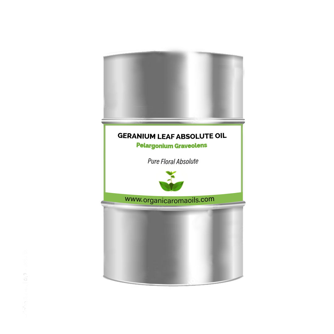 Geranium Leaf Absolute Oil