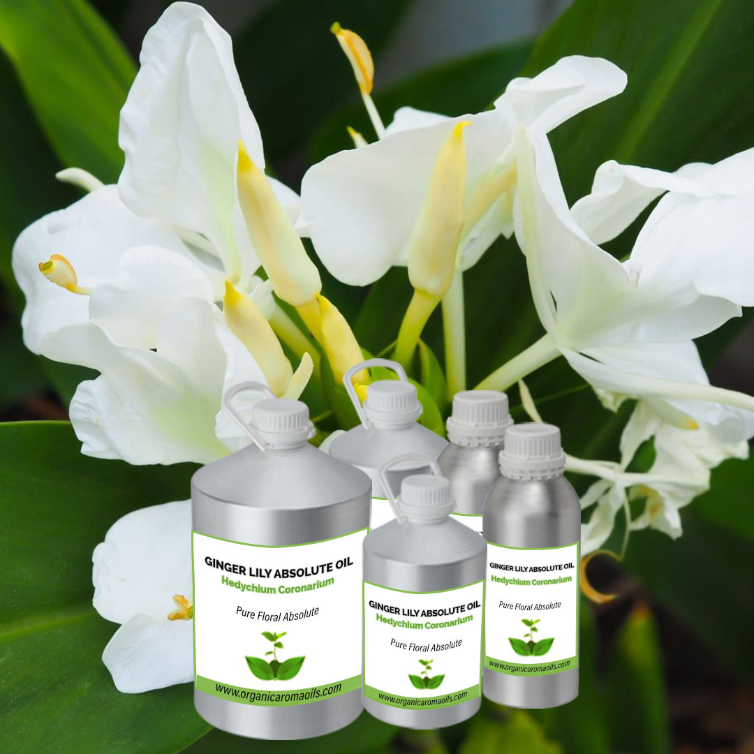 Ginger Lily Absolute Oil