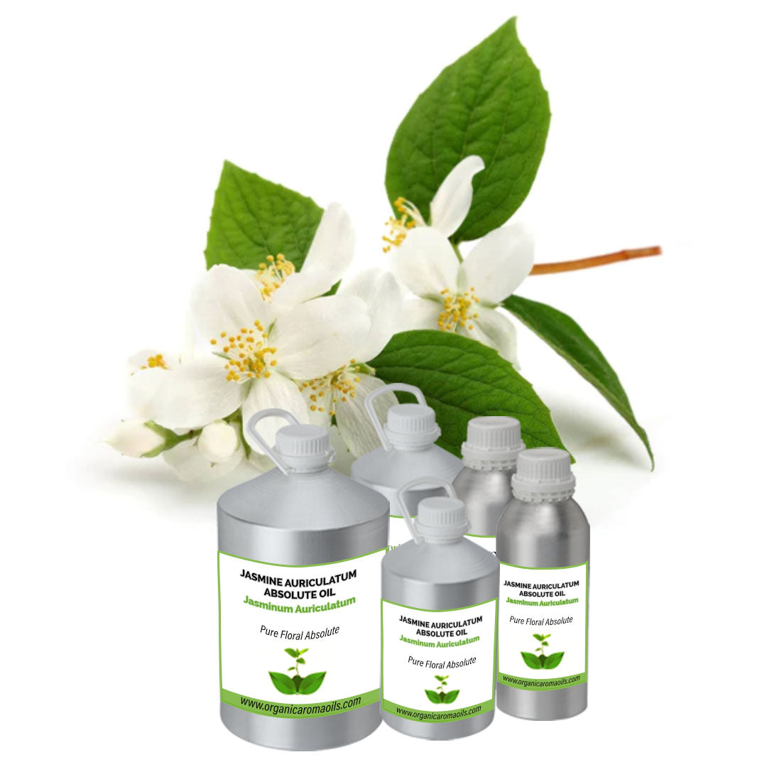 Jasmine Auriculatum Absolute Oil