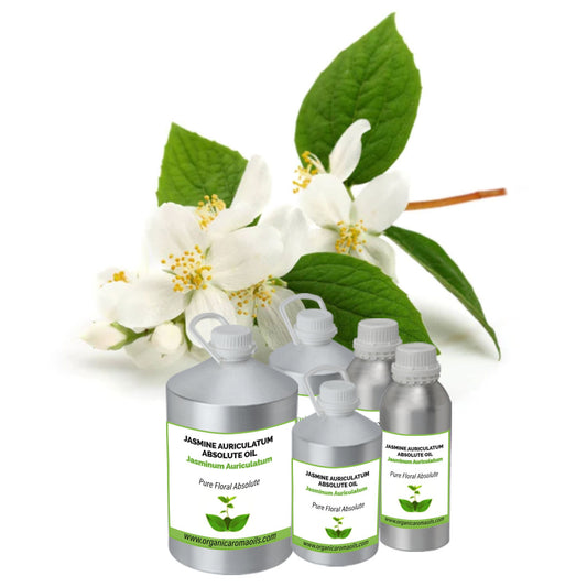 Jasmine Auriculatum Absolute Oil