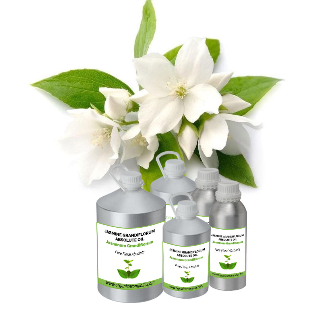 Jasmine Grandiflorum Absolute Oil