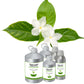 Jasmine Sambac Absolute Oil