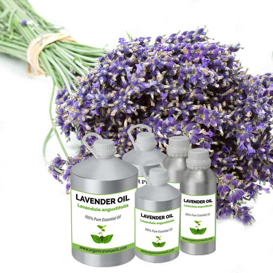 Lavender Oil