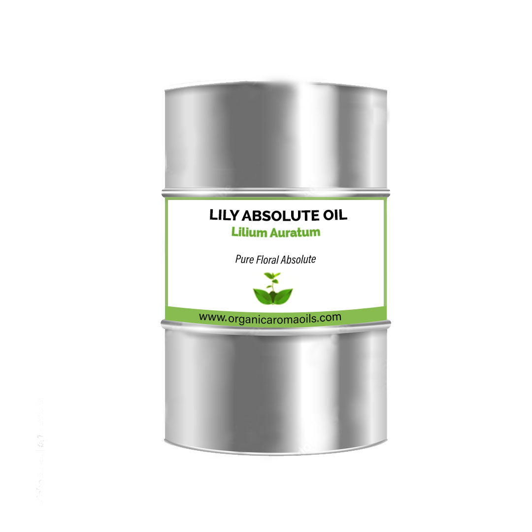 Lily Absolute Oil