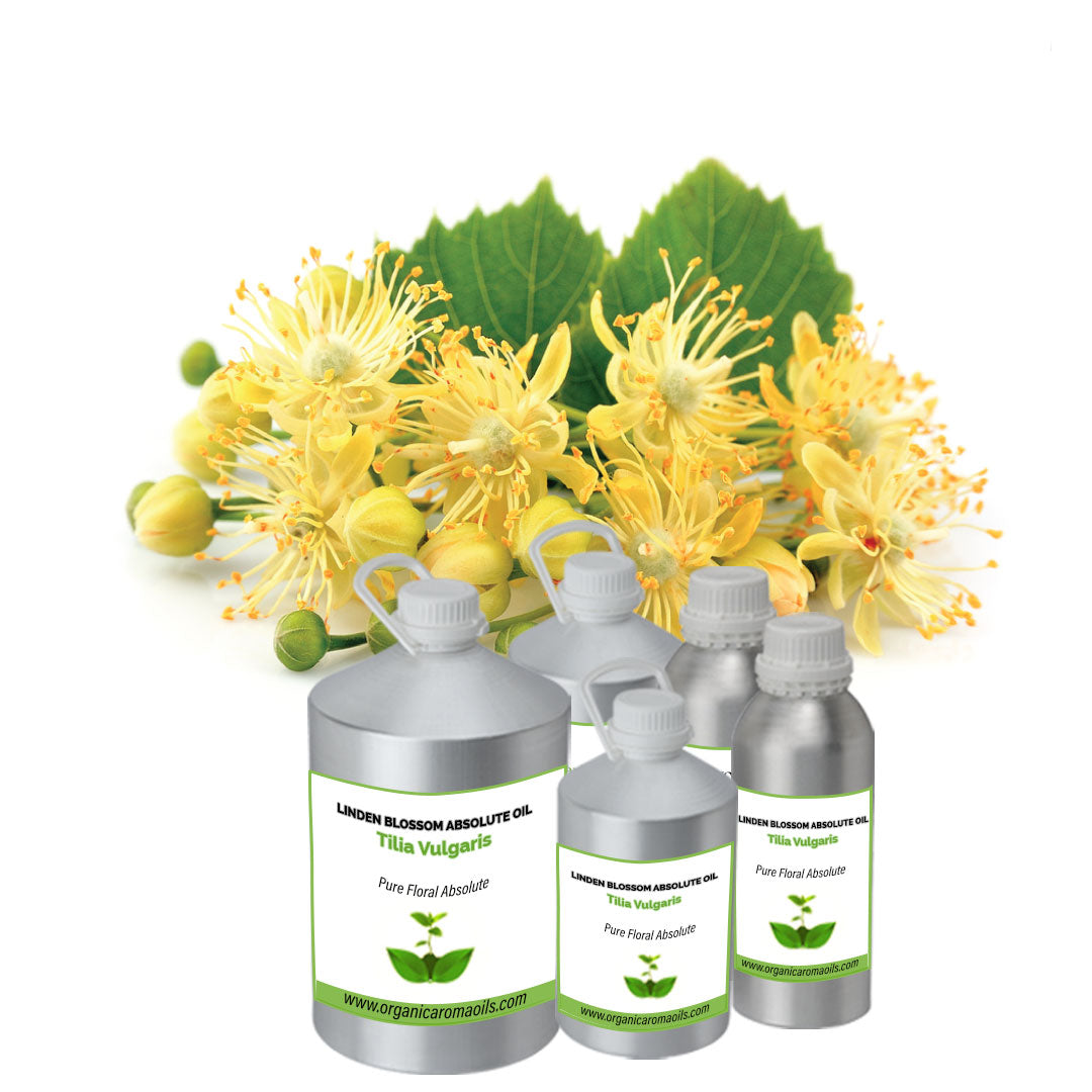 Linden Blossom Absolute Oil