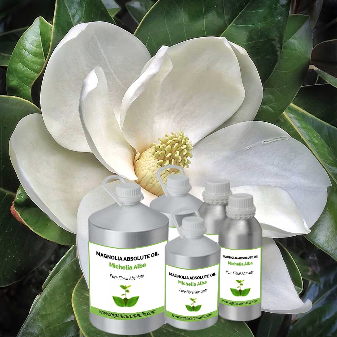 Magnolia Absolute Oil