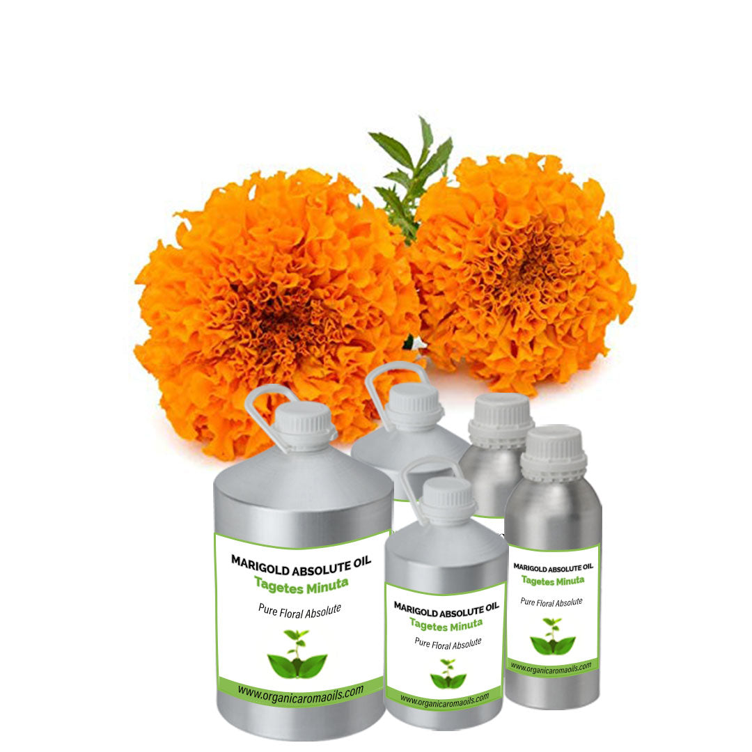 Marigold / Ruh Genda Absolute Oil