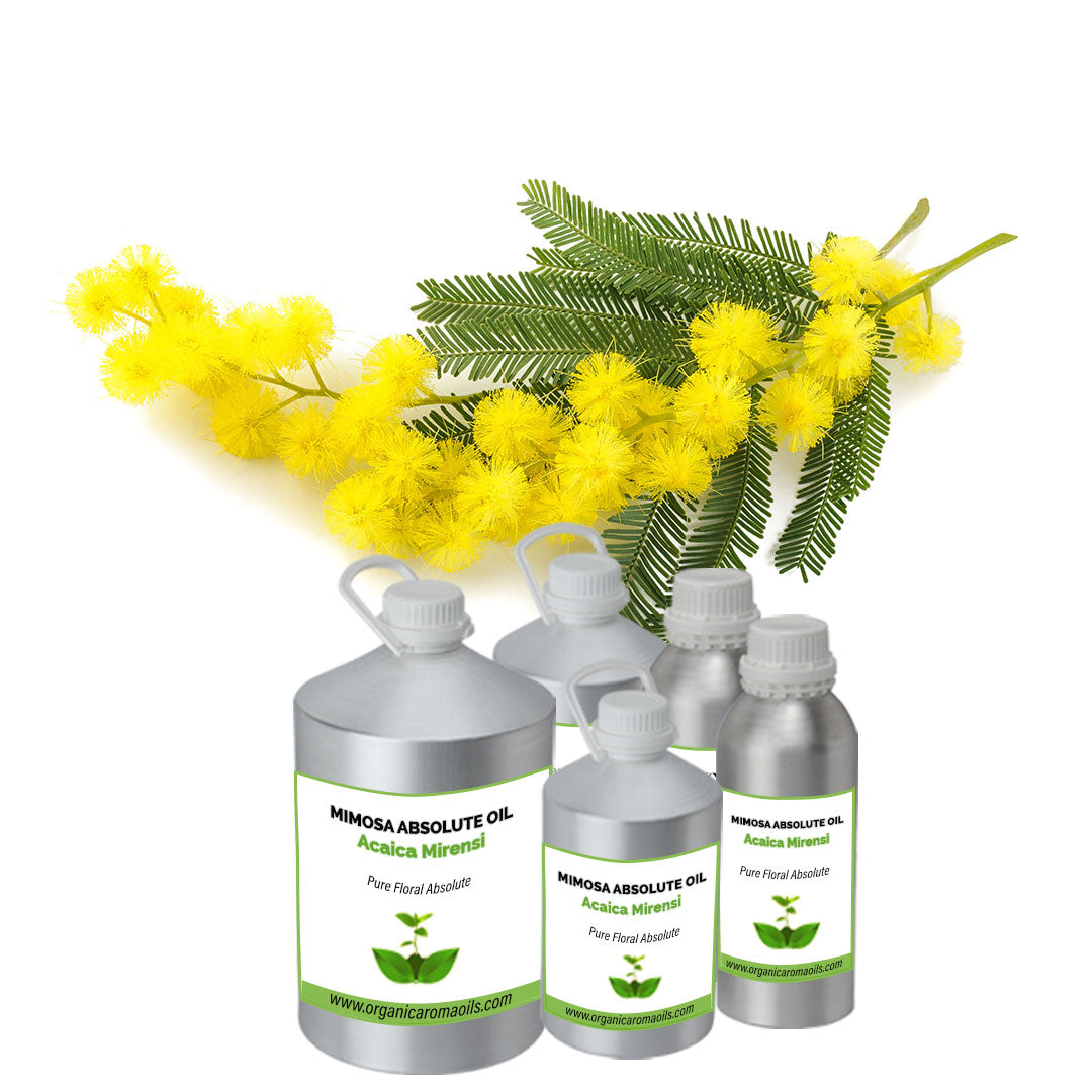 Mimosa Absolute Oil