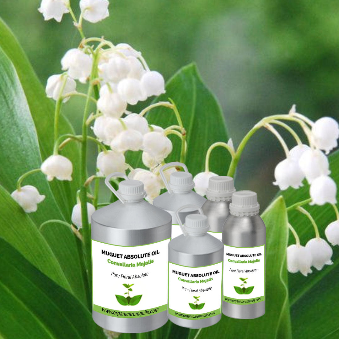 Muguet Absolute Oil