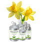 Narcissus Absolute Oil