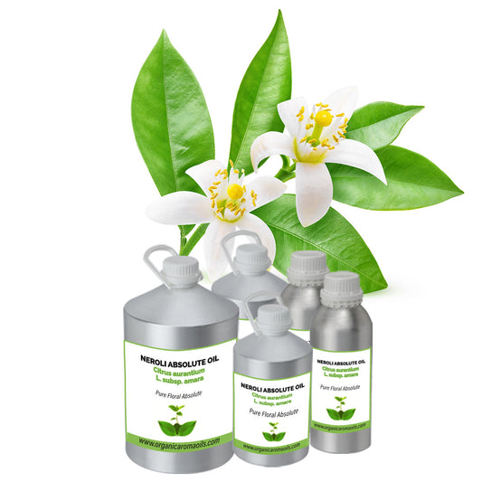 Neroli Absolute Oil