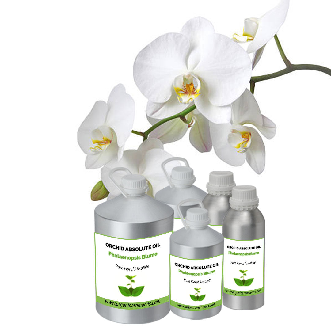 Orchid Absolute Oil