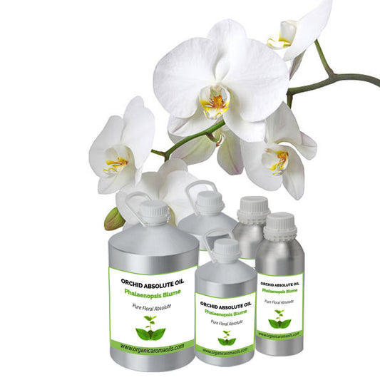 Orchid Absolute Oil