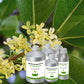 Osmanthus Absolute Oil