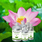 Pink Lotus Absolute Oil