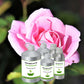 Rose Absolute Oil