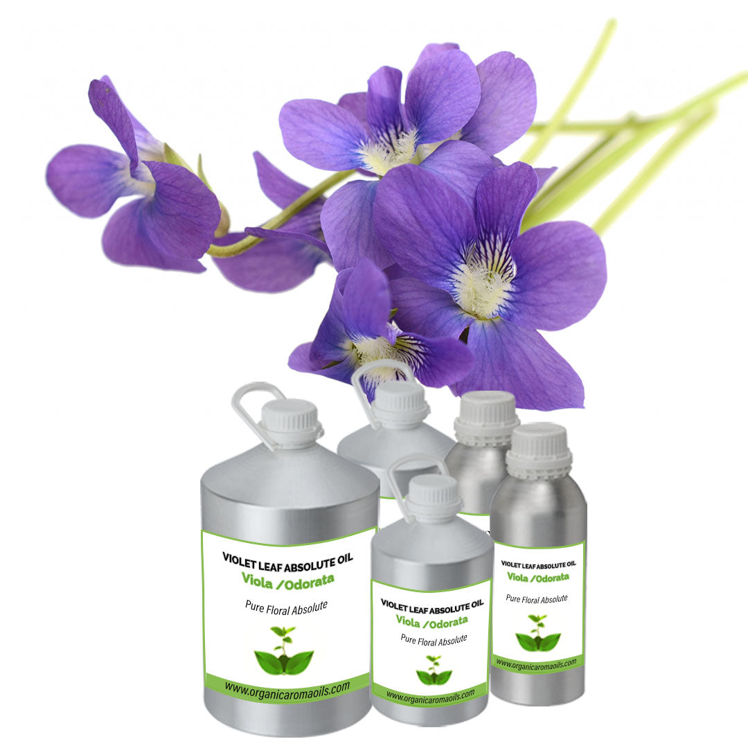 Violet Leaf Absolute Oil