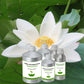 White Lotus Absolute Oil