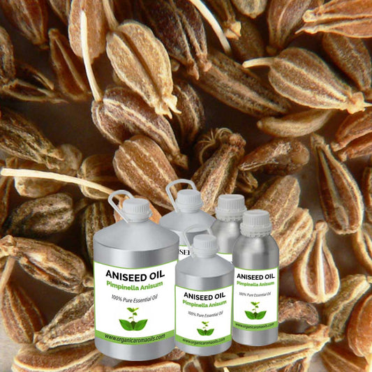 Aniseed Oil