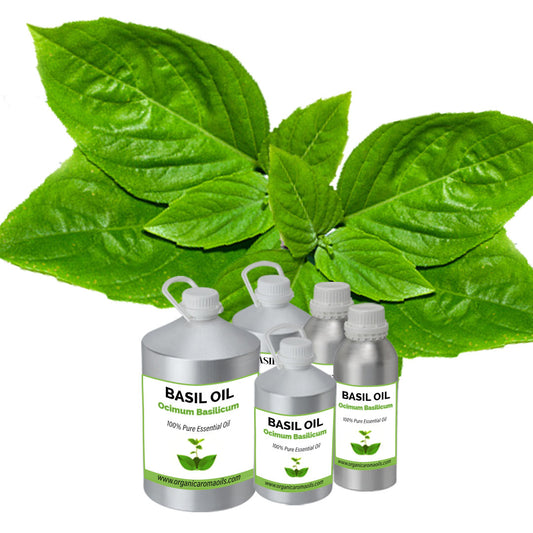 Basil Oil