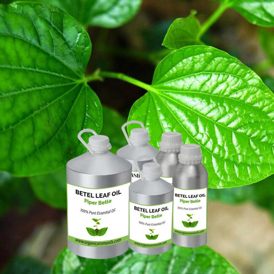 Betel Leaf Oil