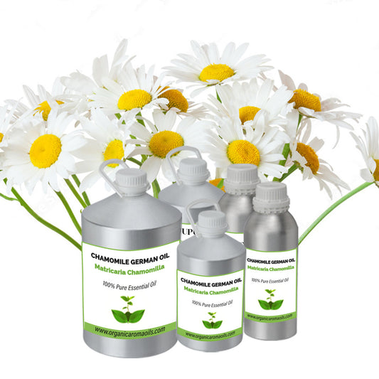 Chamomile German Oil