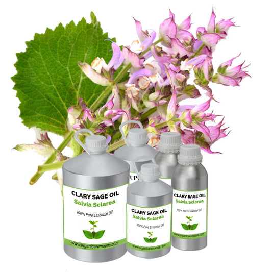 Clary Sage Oil