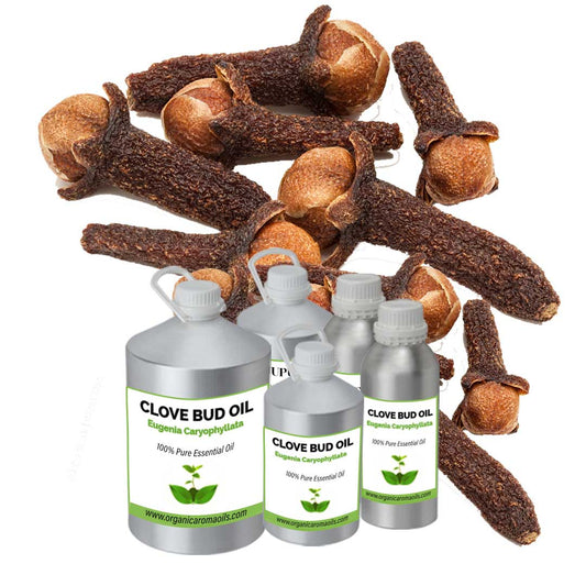 Clove Bud Oil