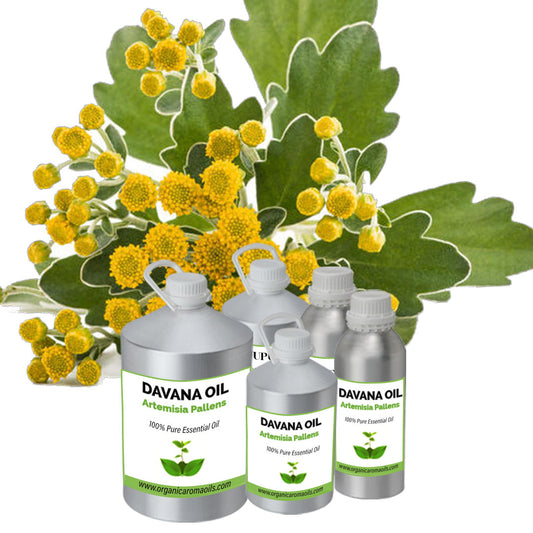 Davana Oil