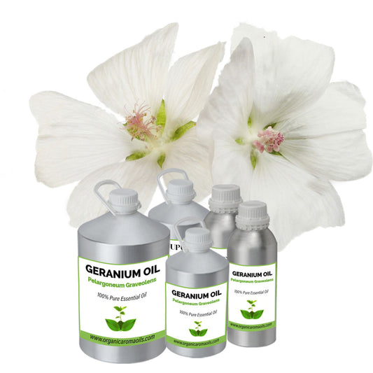 Geranium Oil