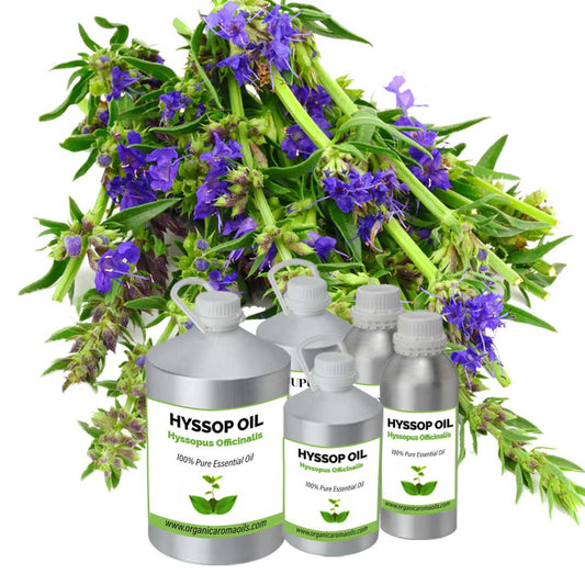 Hyssop Oil