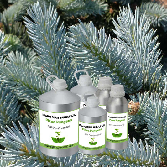 Idaho Blue Spruce Oil